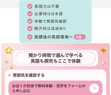 14本目 ness_v17 S17