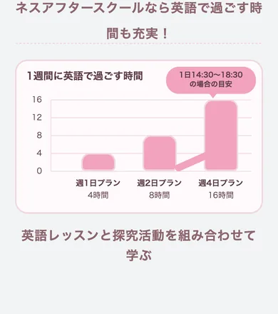 14本目 ness_v17 S28