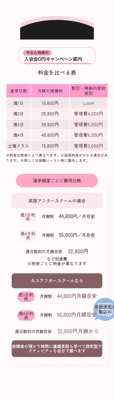 S41 16本目 ness_v19