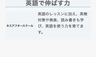 S24 17本目 ness_v20