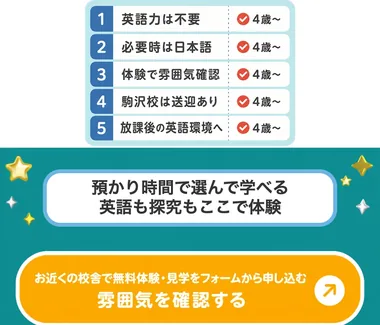 S17 17本目 ness_v20