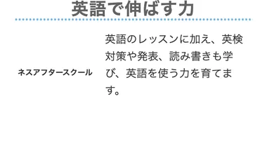 S24 19本目 ness_v22