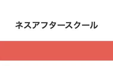 S39 20本目 ness_v23
