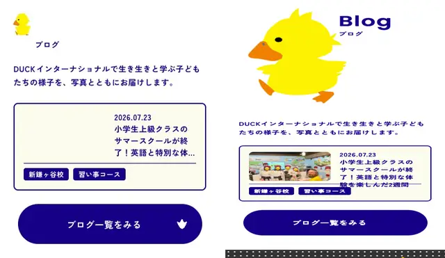 duck S11