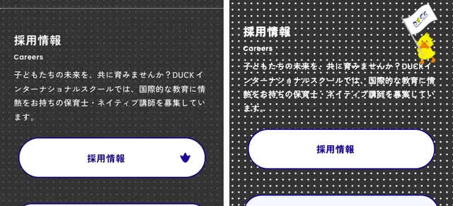 duck S13