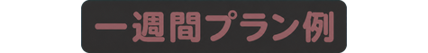 一週間プラン例